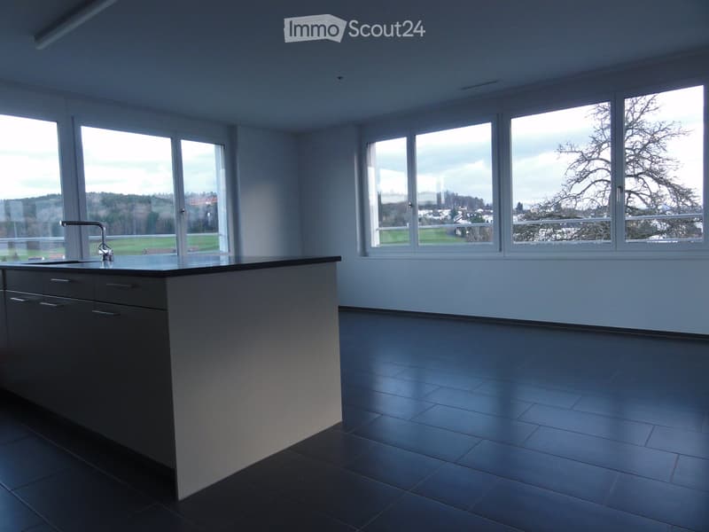 Apartment in Wil SG (7)