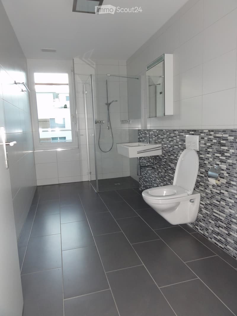 Apartment in Wil SG (4)
