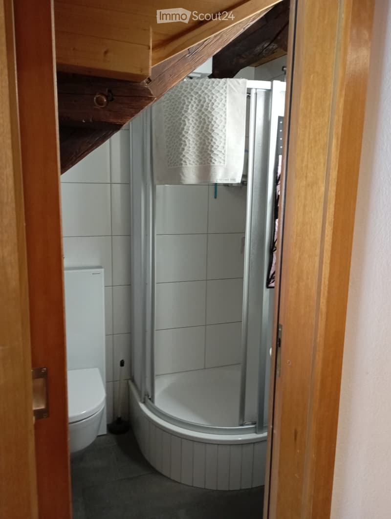 small bathroom with toilet, shower, and towel hanging on the wall