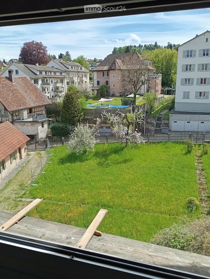 A view of a grassy field with trees and plants, surrounded by houses and buildings.