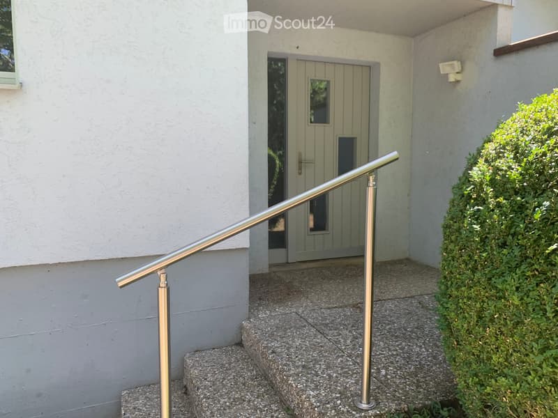 A modern entrance with a polished metal handrail leading to a front door, surrounded by neatly trimmed bushes and a textured concrete pathway.