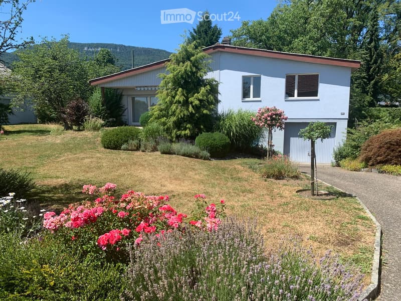 A single-story house with a red roof and light blue walls, surrounded by a well-maintained garden with various flowering plants, shrubs, and trees. The front yard features a gravel pathway leading to the house entrance.