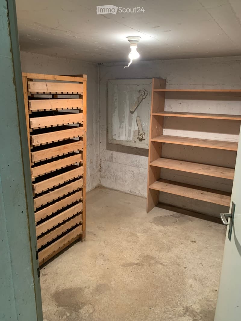 Empty basement or storage room with concrete floors and walls, wooden shelving units, and a single light fixture on the ceiling.