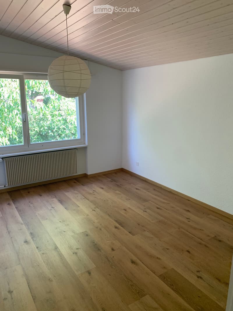 Empty room with light wooden flooring, white walls, large window with view of greenery, radiator, and a hanging paper lantern light fixture.