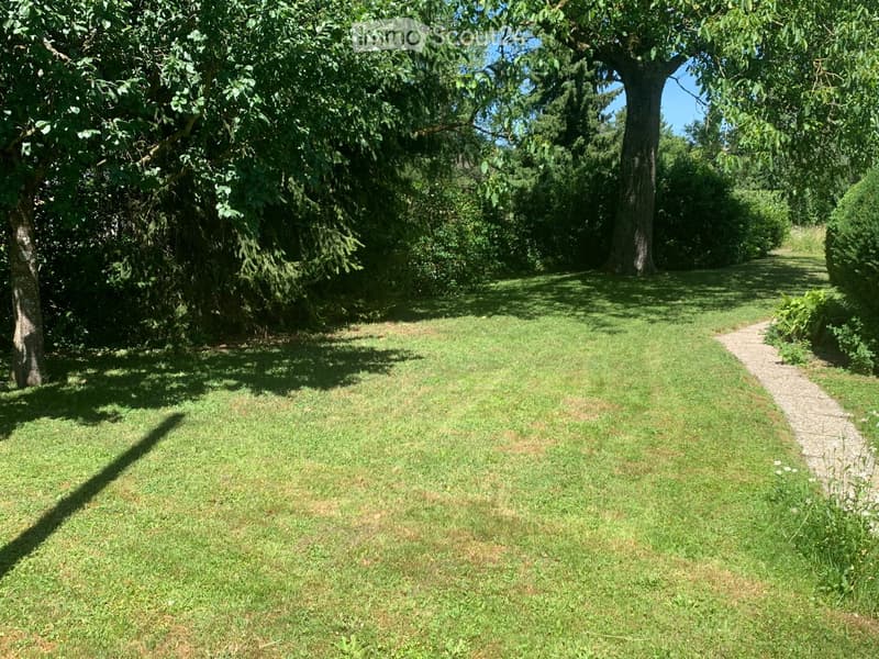 A well-maintained garden with a grassy lawn, a gravel pathway, and mature trees providing shade.