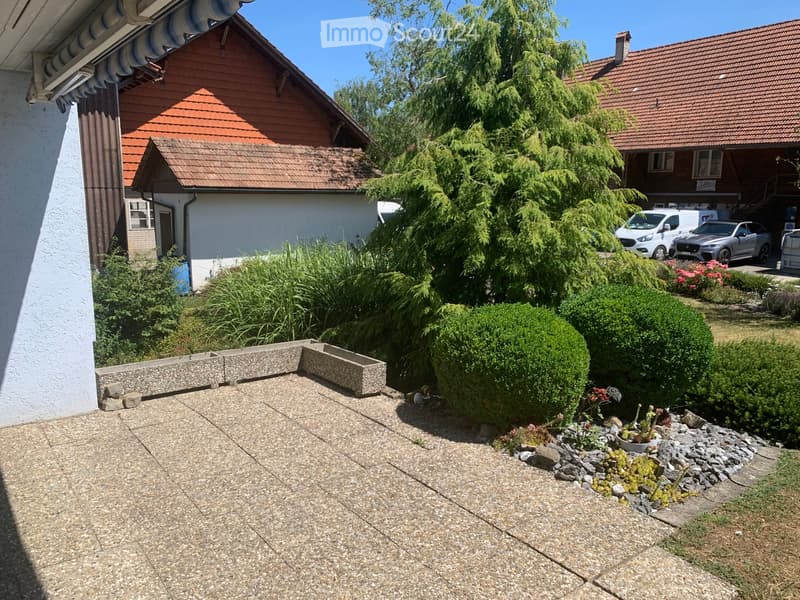 Garden area with concrete planters, shrubs, and small plants, surrounded by residential buildings and parked cars.
