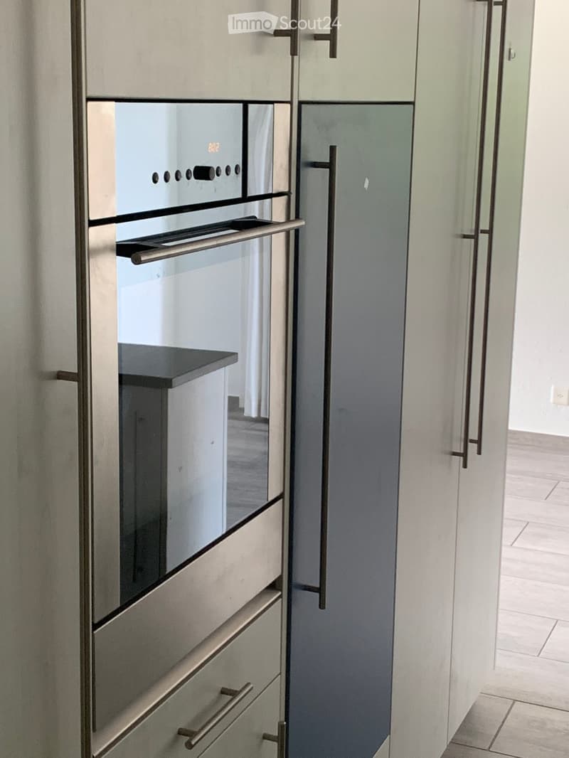 Modern hallway with sleek, grey cabinetry featuring metallic handles and a glass-paneled door leading to another room.