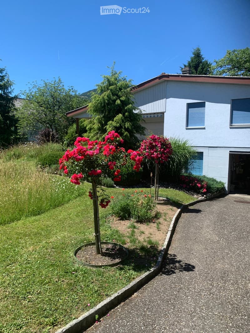 Garden area with a small tree, vibrant red flowers, and a gravel pathway leading to a house entrance.
