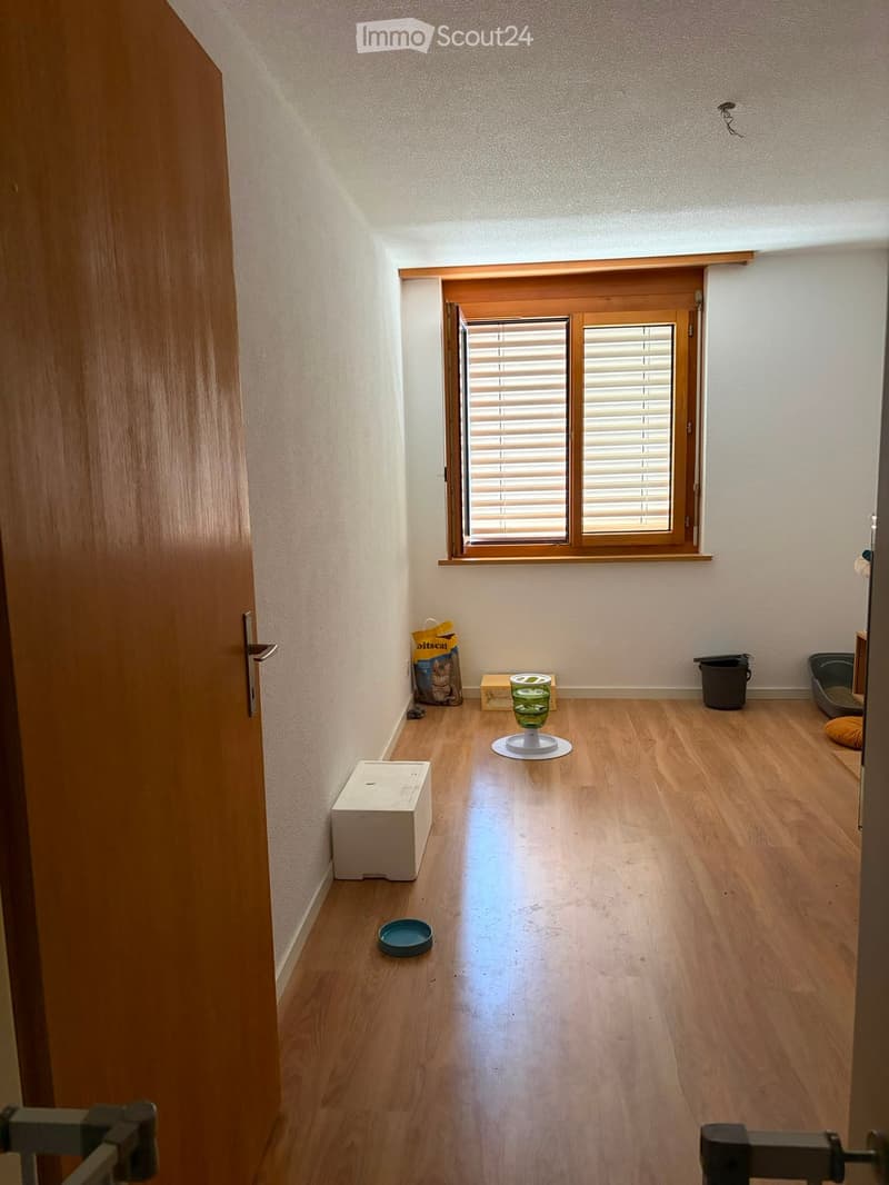 A small, well-lit room with wooden flooring and white walls, containing a cat litter box, cat food bag, cat bowl, cat toy, cat bed, and a trash bin.