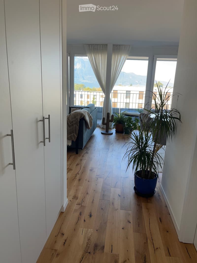 Spacious hallway with wooden flooring, large windows with white curtains, and a view of a scenic landscape. Features a large potted plant and a small seating area with a sofa and decorative items.