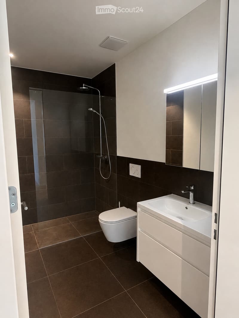 Modern bathroom with dark brown tiles, white toilet, white sink with chrome faucet, large mirror, and glass-enclosed shower area.