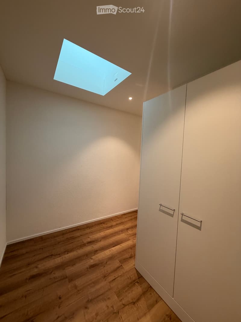 A narrow hallway with wooden flooring, white walls, and a built-in closet with silver handles. A skylight is embedded in the ceiling, allowing natural light to enter.