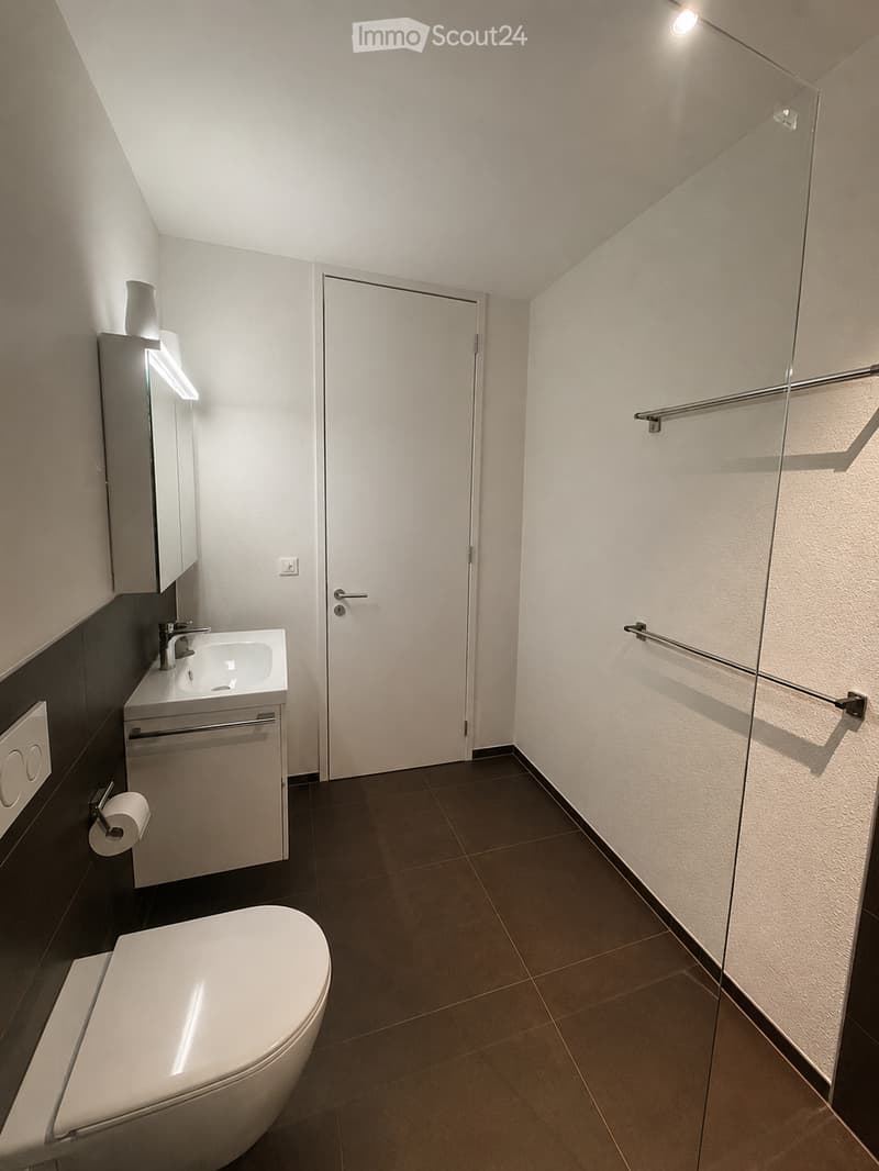 Modern bathroom with a toilet, sink, mirror, and cabinet. Features dark brown tiles on the floor and white walls.