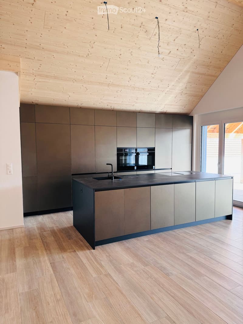 modern kitchen, wood floor, stainless steel kitchen appliances, glass windows