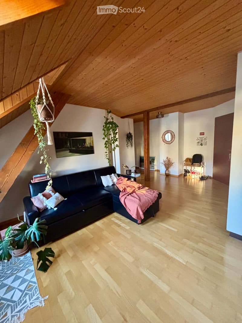 A modern living room with wooden floors, a black sectional sofa, a coffee table, a large mirror, and several potted plants.