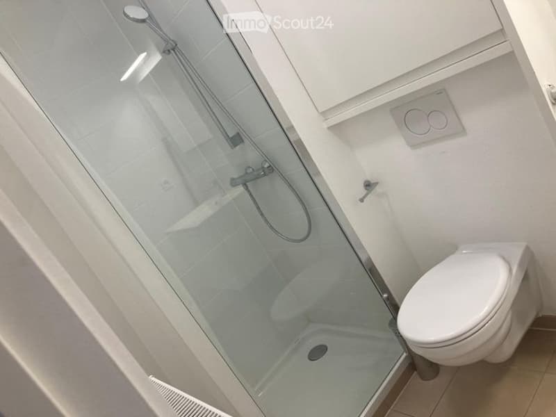 Modern bathroom with a glass-enclosed shower and a toilet. The shower features a handheld showerhead and a built-in seat.
