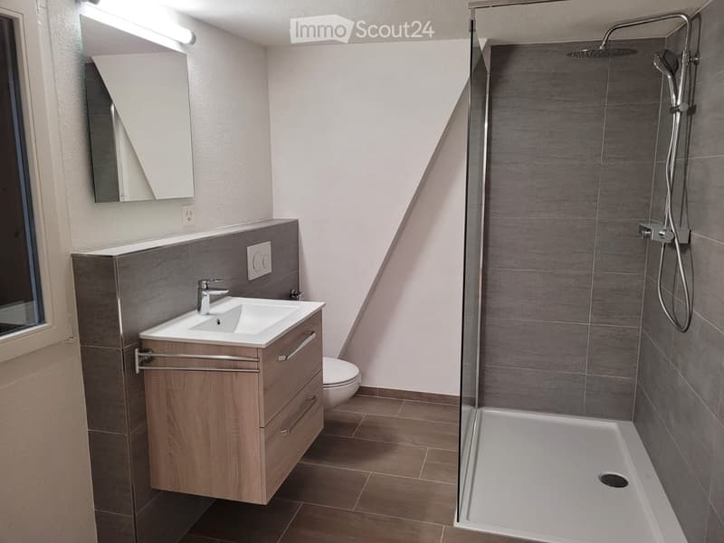 Modern bathroom with a wooden vanity, white sink, chrome faucet, mirror, toilet, and a walk-in shower with a glass enclosure and modern showerhead.