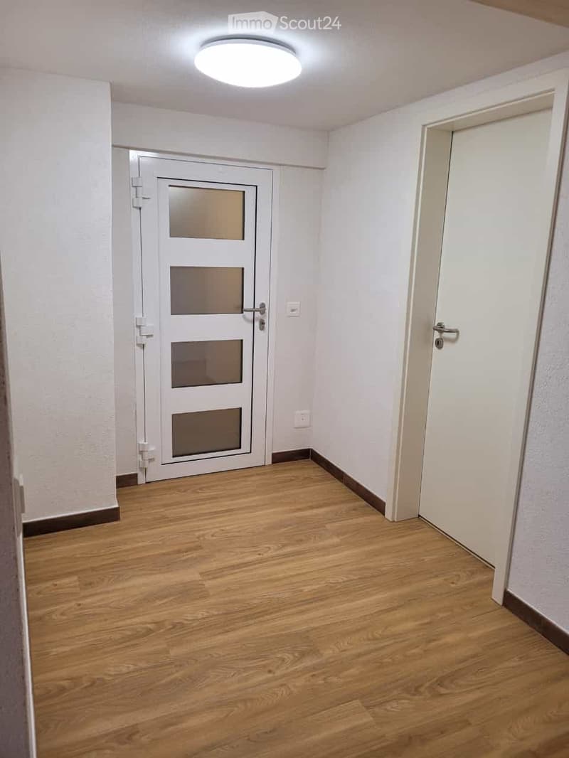 Empty hallway with wooden flooring, white walls, and two doors, one with frosted glass panels.