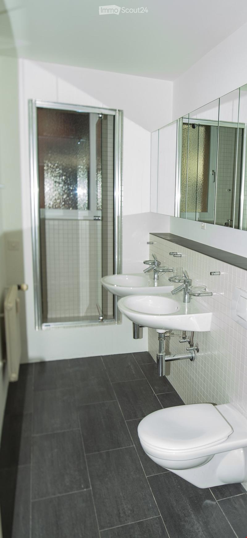 Modern bathroom with two sinks, a toilet, a shower, and a large mirror above the sinks.