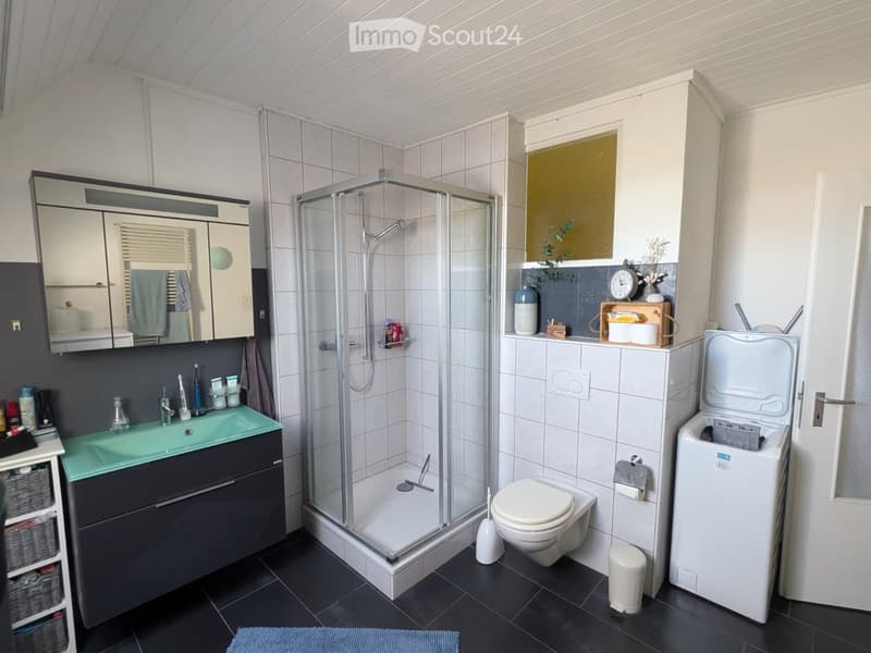 {"type": "Bathroom", "objects": ["sink", "faucet", "mirror", "shower", "toilet", "washing machine", "clock", "cupboard", "towel", "basket", "bottle", "toothbrush", "toothpaste", "soap", "shampoo", "shower gel", "shower cap", "shower gel bottle", "shower g