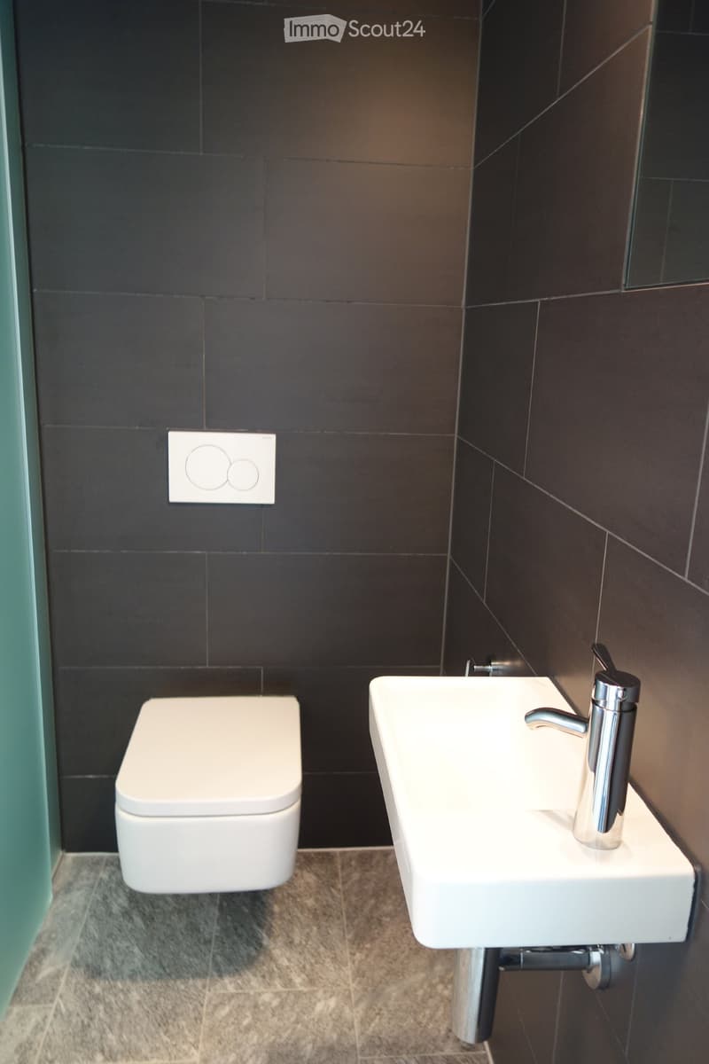Modern bathroom with dark tiled walls, white toilet, white sink with chrome faucet, and a light switch on the wall.