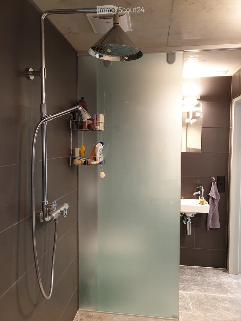 Modern bathroom with a glass-enclosed shower, chrome showerhead, wall-mounted shower rack holding toiletries, a white sink with a chrome faucet, and a towel hanging on the wall.