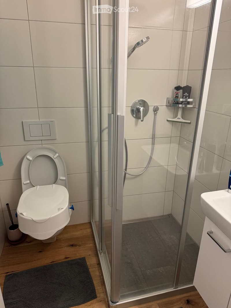 Modern bathroom with a toilet, sink, and glass-enclosed shower. The shower features a handheld showerhead and a built-in shelf for toiletries.