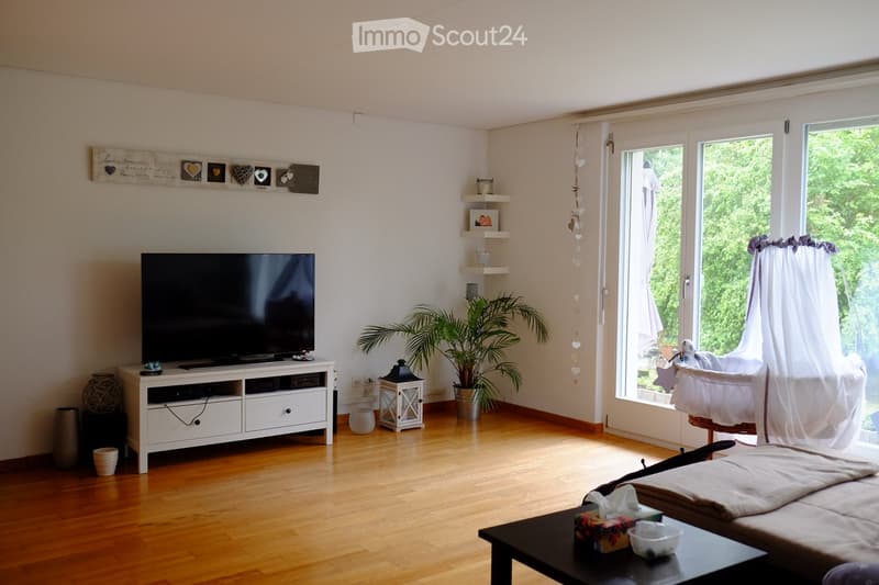 Bright living room with wooden flooring, large windows, television on a stand, sofa, coffee table, decorative plant, shelves, and a lantern.