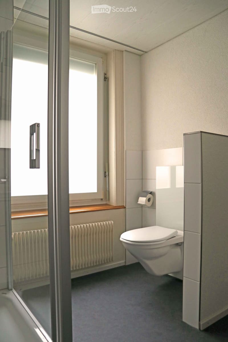 Modern bathroom with a toilet, radiator, and toilet paper holder. The room features a glass shower enclosure and a window with blinds.