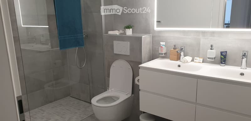 Modern bathroom with a white toilet, double sink vanity, glass shower enclosure, and various toiletries.