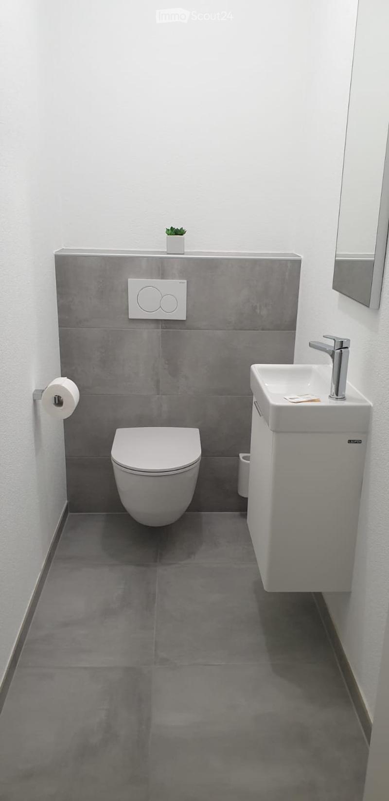 Modern bathroom with grey tiled walls, white toilet, white sink with chrome faucet, and a small plant on the backsplash.