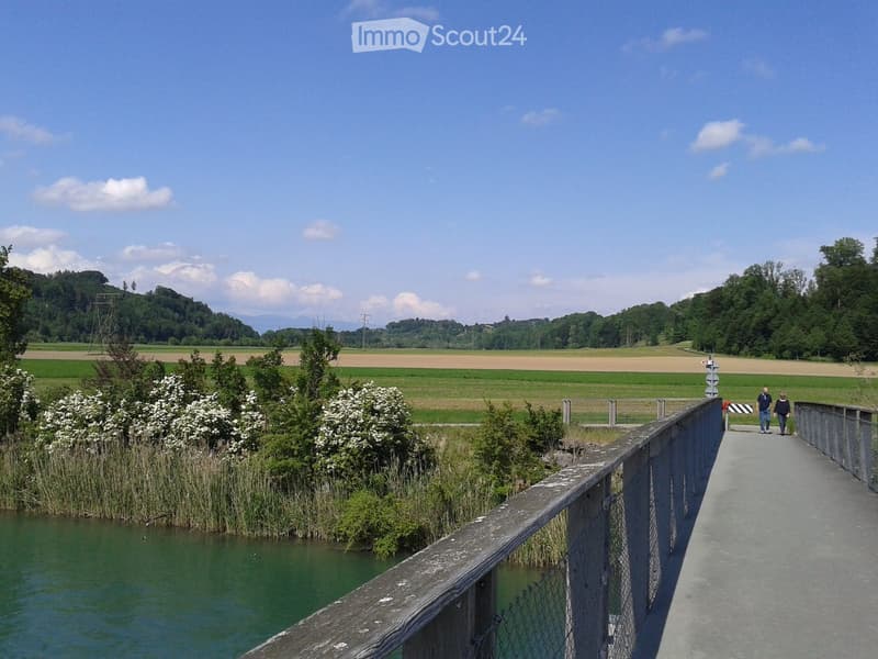 A serene outdoor scene featuring a wooden bridge over a calm body of water, surrounded by lush greenery and a distant field under a clear blue sky.
