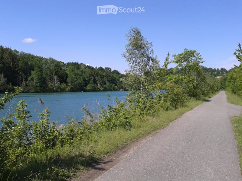 A paved pathway runs alongside a calm lake, surrounded by lush greenery and trees, with a clear blue sky overhead.
