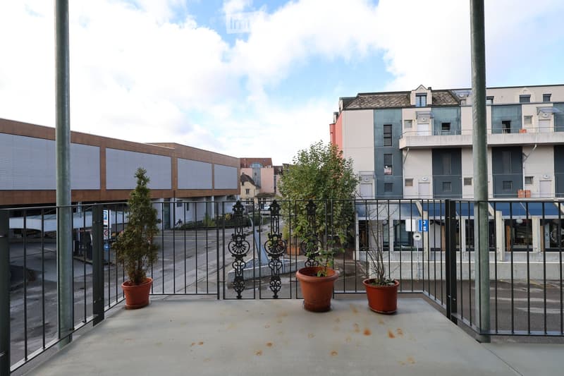 balcony with metal railings and potted plants