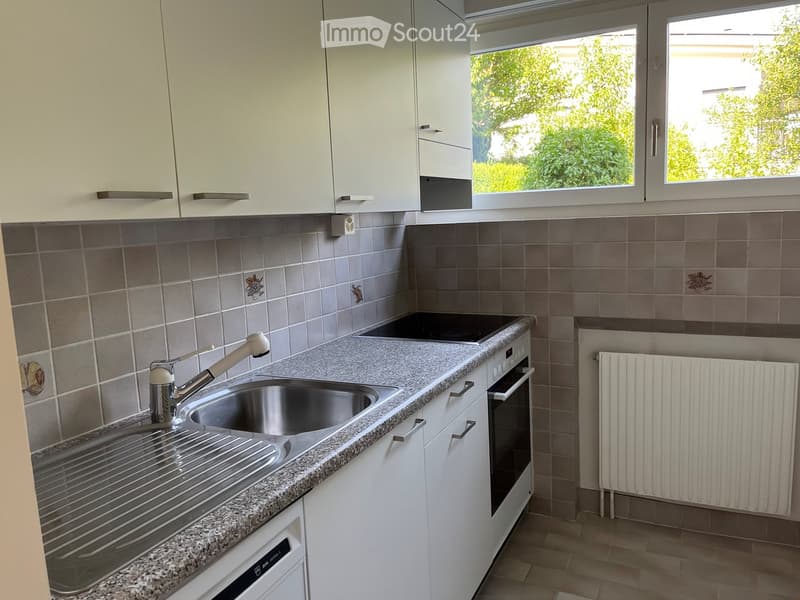 3 1/2 Zimmerwohnung (3)
