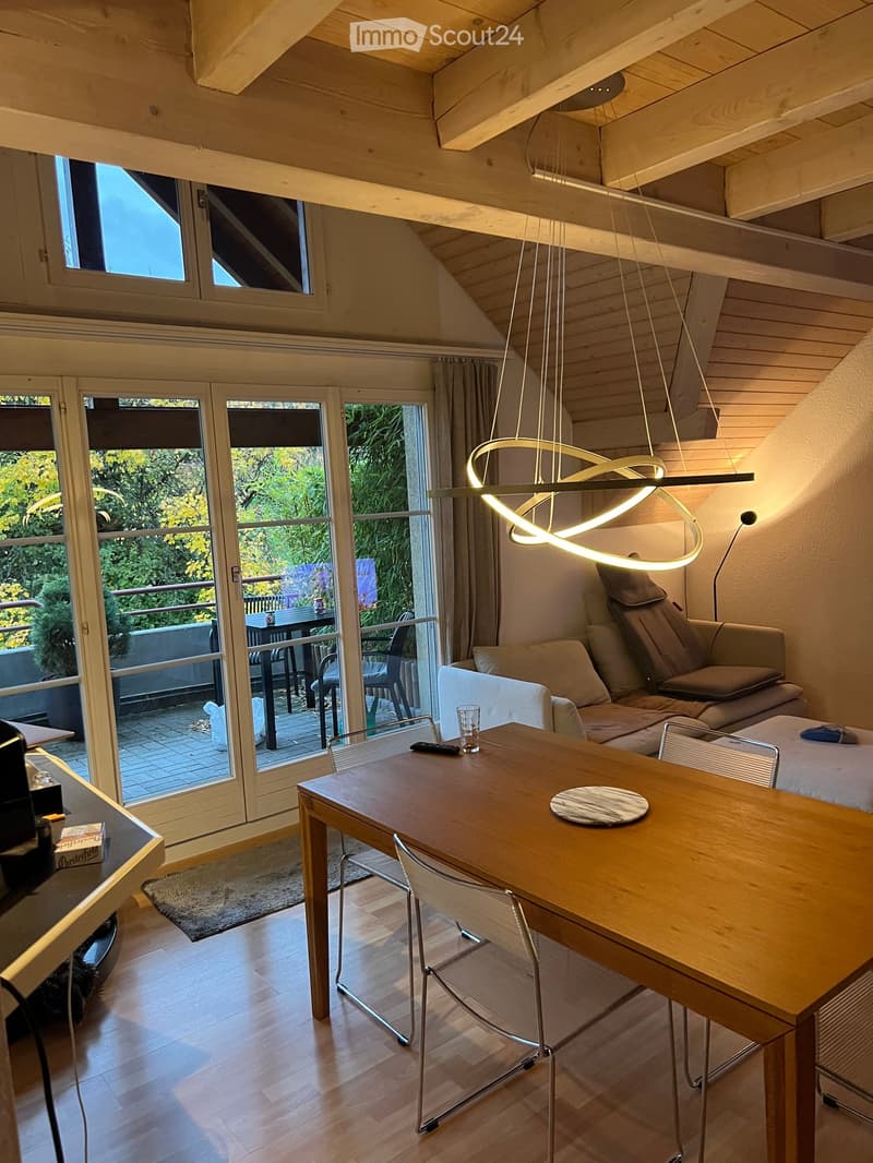 Bright living room with wooden floors, large windows, and a modern pendant light. Features a sofa, dining table with chairs, and a view of a balcony area with outdoor furniture.