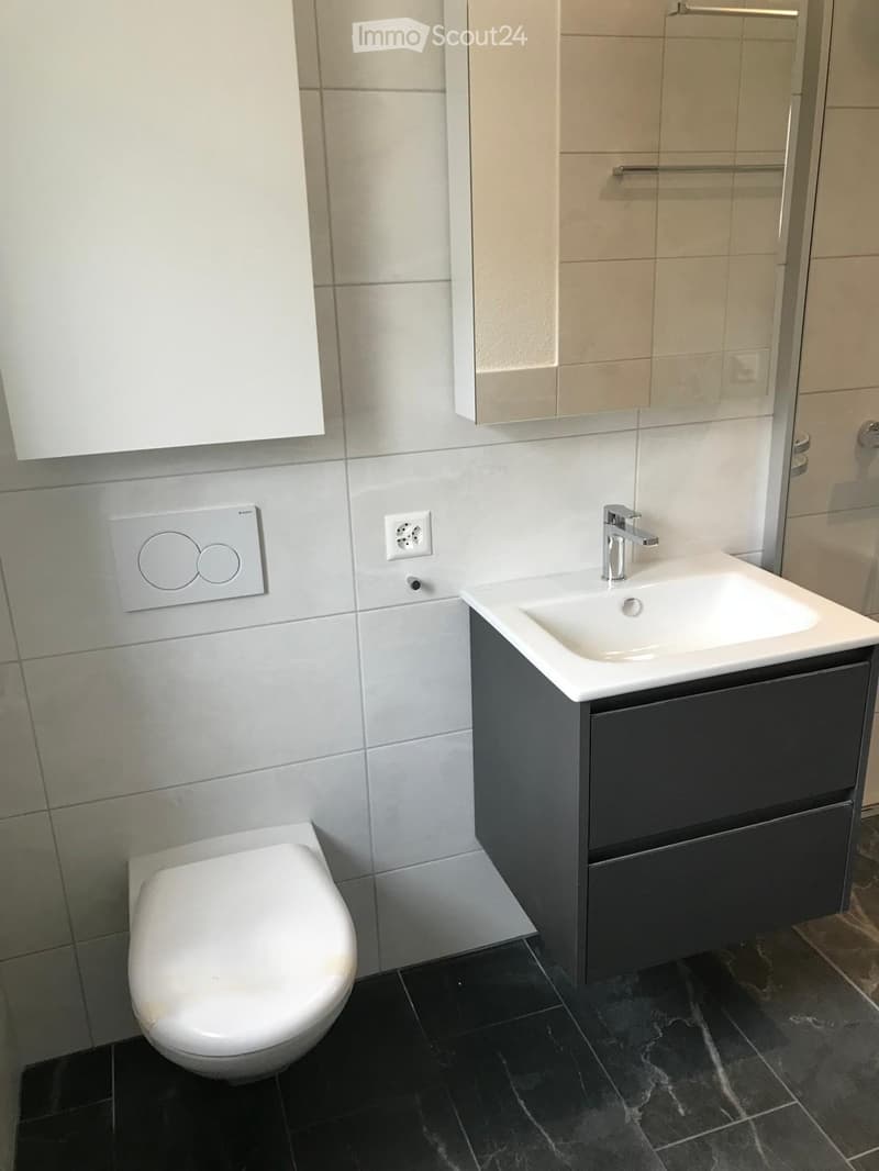 Modern bathroom with a white toilet, a black vanity cabinet with a white sink and chrome faucet, and tiled walls and floor.