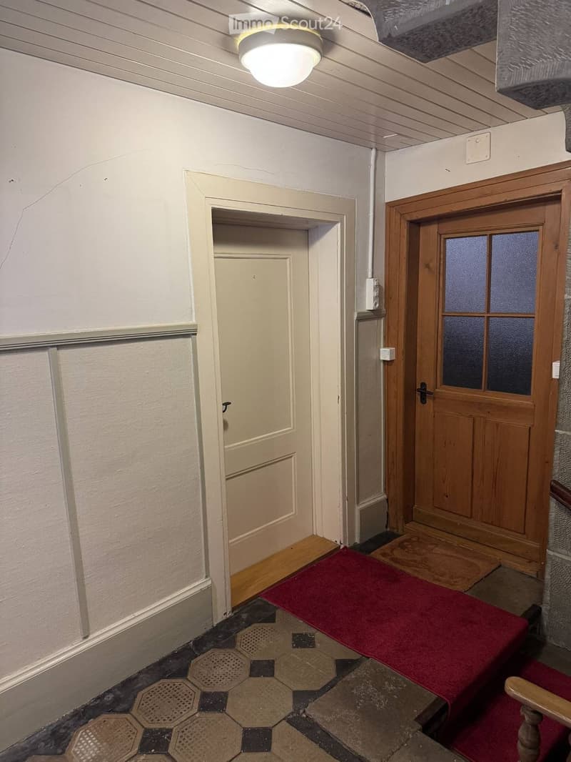 Hallway with wooden doors, a red runner, and a ceiling light fixture.