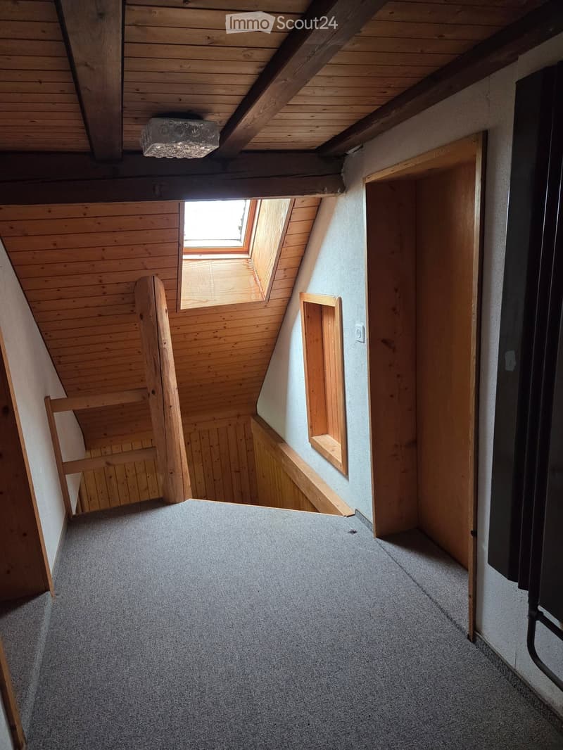 Carpeted hallway with wooden walls, slanted wooden ceiling, and a small skylight window at the top. Features a wooden door on the right and a wooden railing on the left.