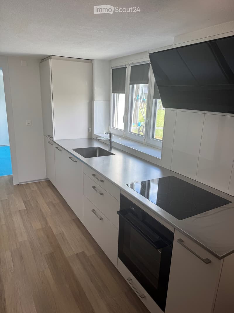 Modern kitchen with white cabinets, stainless steel sink, induction cooktop, and built-in oven. Features wooden flooring and large windows with blinds.