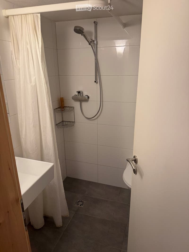 Modern bathroom with white tiles, a shower area with a curtain, a sink, and a toilet. Features a handheld showerhead and a small shower rack.