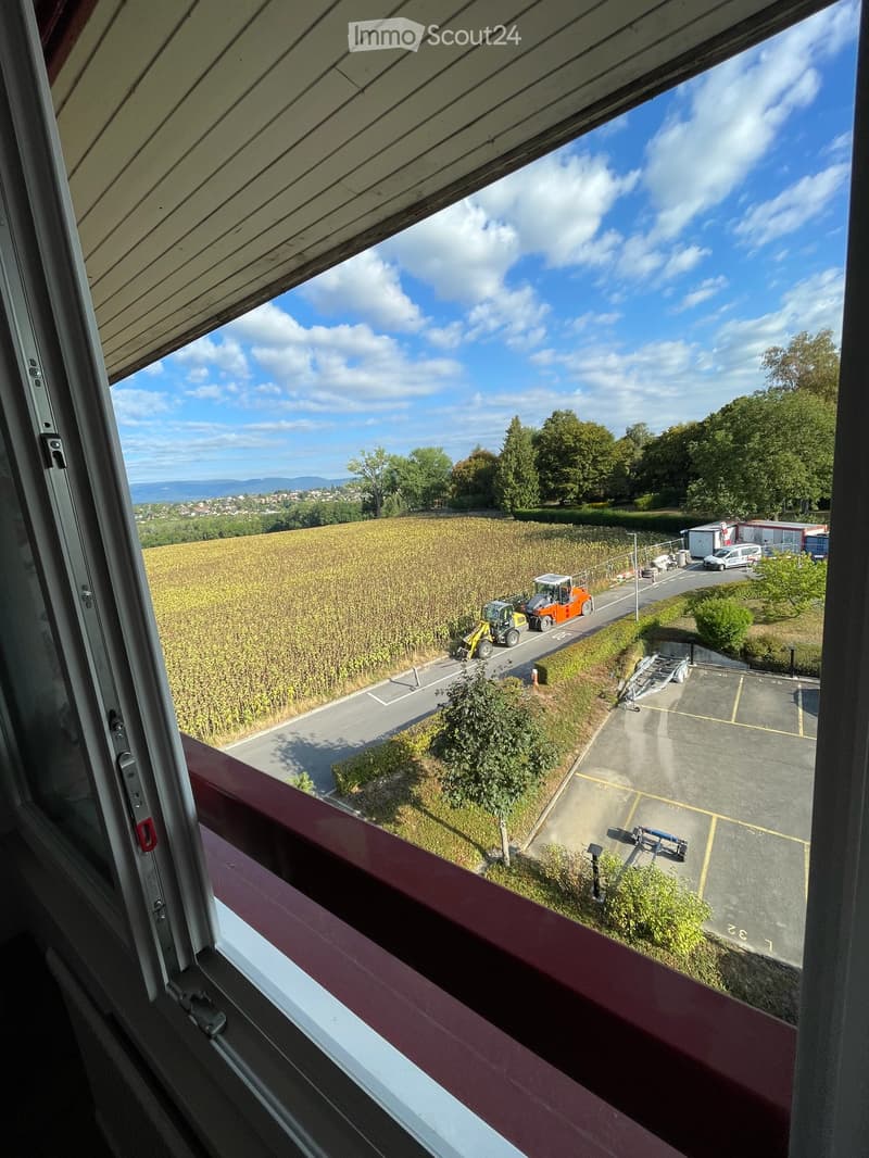 Geräumige 5.5-Zimmer-Wohnung mit atemberaubendem Blick in Ecublens (VD) (14)