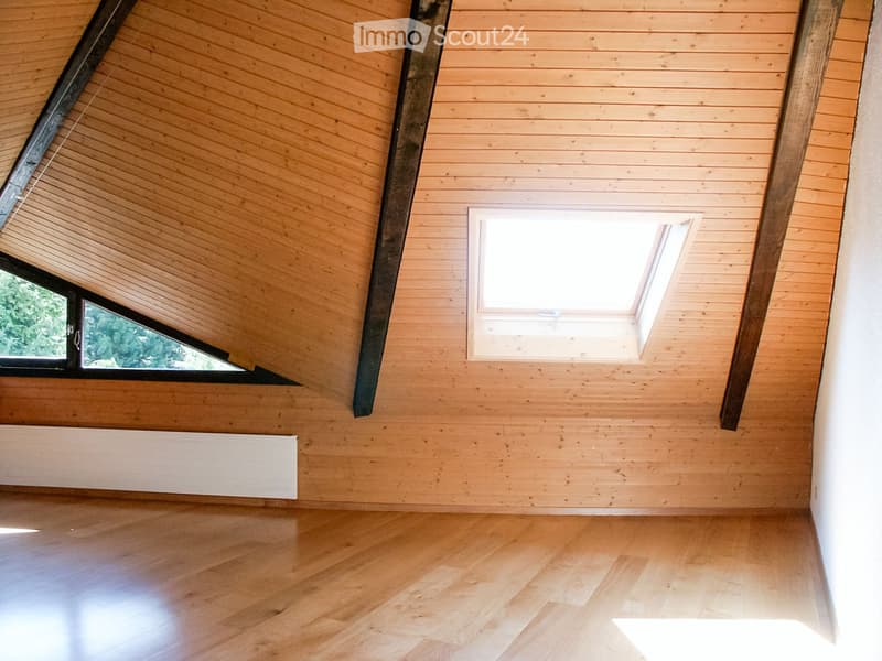 An empty room with wooden walls and floor, featuring a skylight window and a side window with a view of greenery.