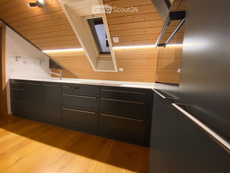 Modern kitchen with dark grey cabinets, wooden flooring, and a skylight window above the sink.