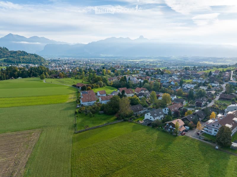 Aerial view of a suburban neighborhood with houses, green fields, and distant mountains.