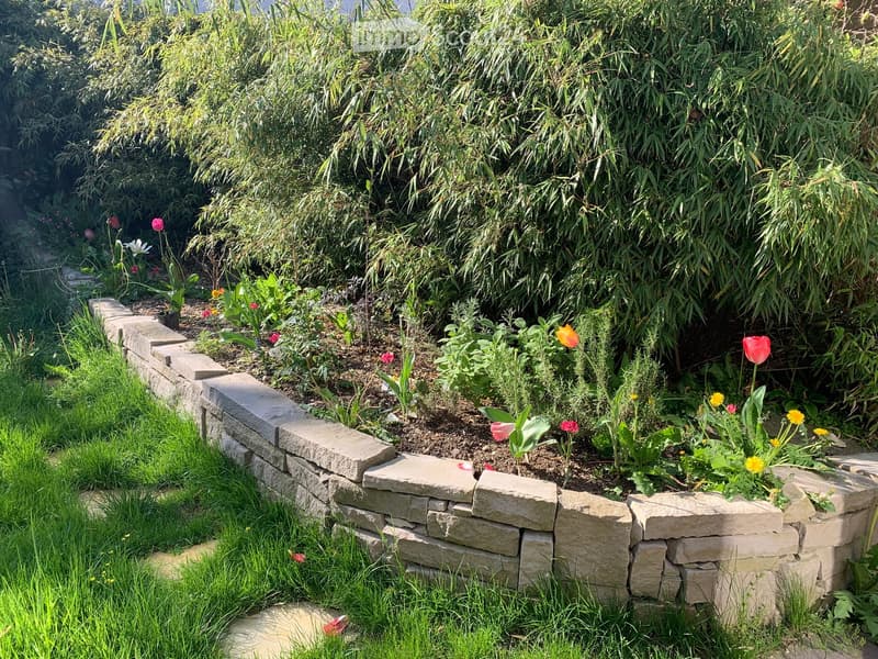 A well-maintained garden with a stone retaining wall, lush greenery, and colorful flowers including tulips and daffodils.