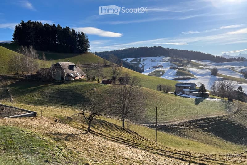 House on a hill, surrounded by green fields and trees, snowy mountains in the background