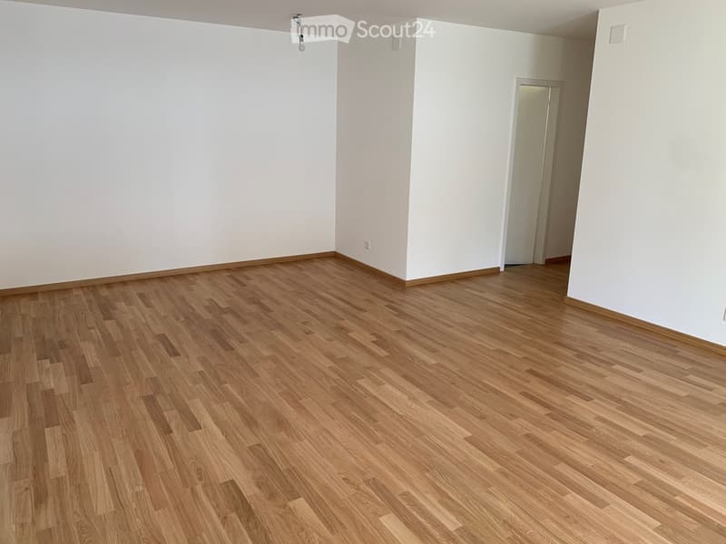 Empty room with light wooden flooring and white walls, featuring a single door and a light fixture on the ceiling.