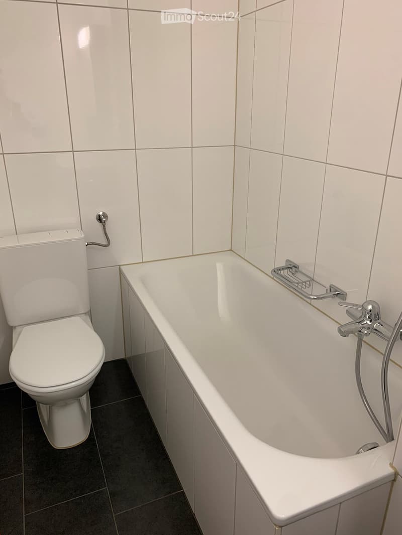 Modern bathroom with white tiled walls, a bathtub with a handheld shower hose, a toilet, and a towel rack.