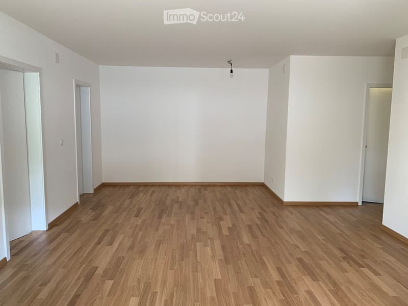 Empty room with wooden flooring and white walls, featuring several doors and a ceiling light fixture.